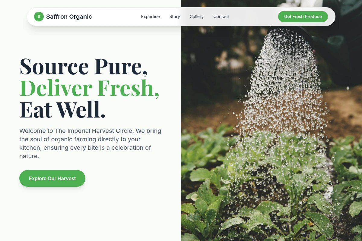 Saffron Organic Food